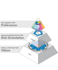 TMS Workplace Behaviour Pyramid IntEng 10102022